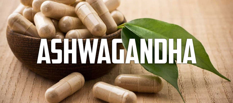 Ashwagandha, A Stress Relieving Testosterone Booster