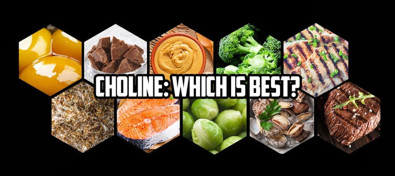 Choline: Which is Best?