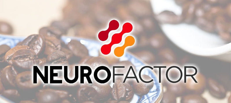 NeuroFactor, The Nootropic Powered Coffee Extract