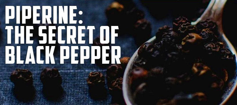 Piperine: The Secret Of Black Pepper